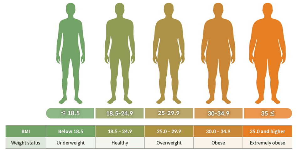 BMI Scale and Weight Status Categories